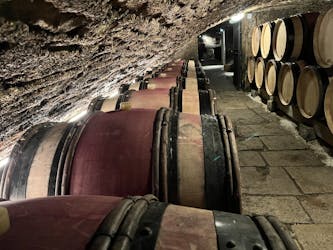 Tour privado na Borgonha com Chateau of Clos de Vougeot e duas vinícolas locais